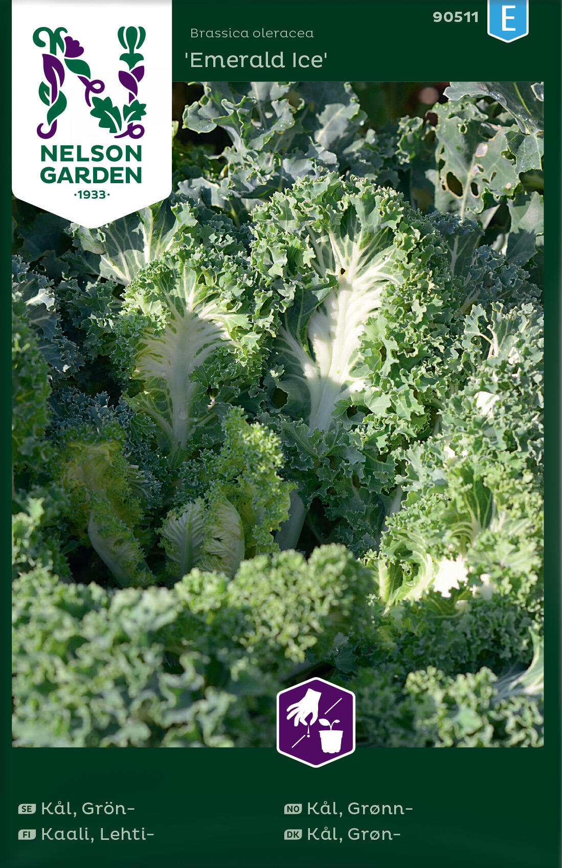 Grønnkål 'Emerald Ice'